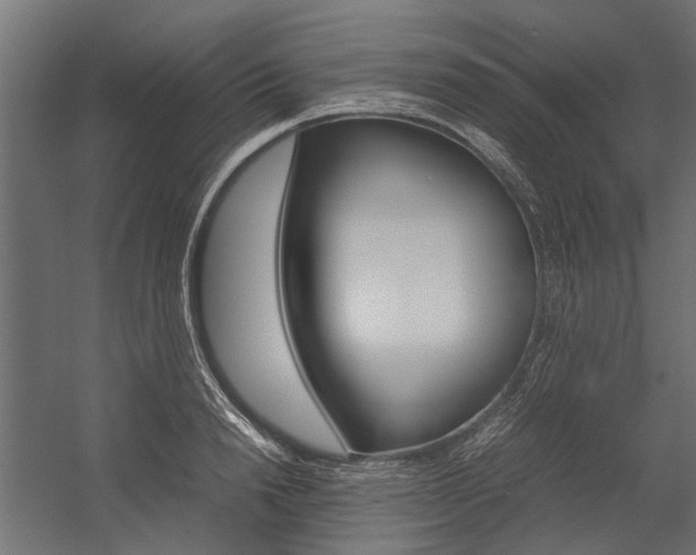 X0000054370846200507290829