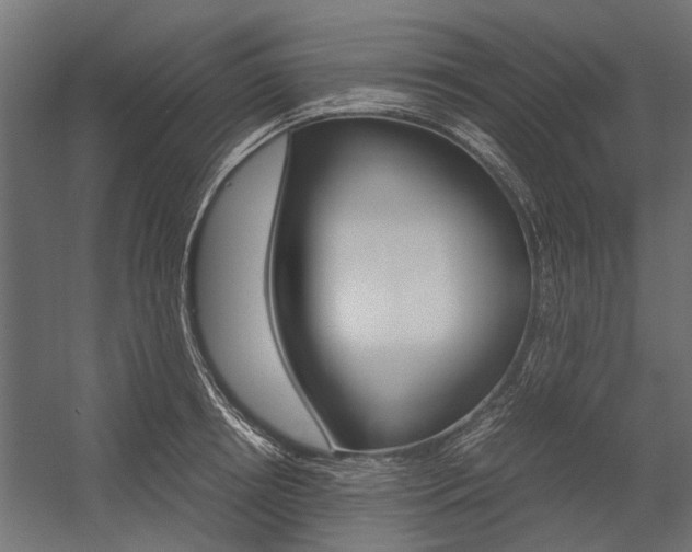 X0000054370850200507290829