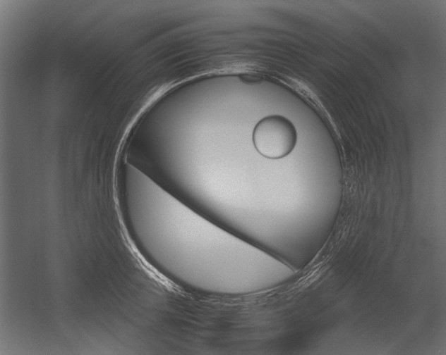 X0000054370851200507290829