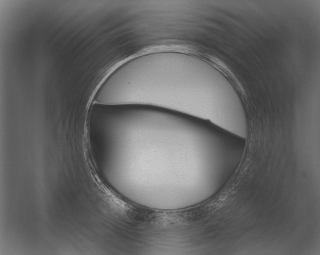 X0000054370852200507290829