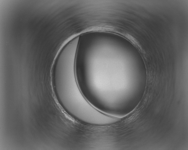 X0000054370854200507290829
