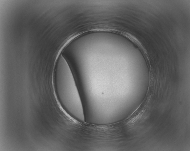 X0000054370855200507290829