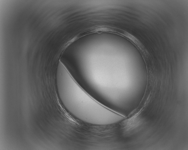 X0000054370857200507290829