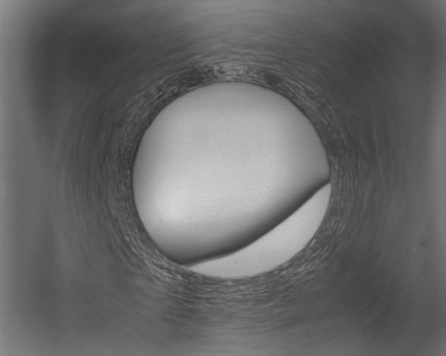 X0000054370865200507290828