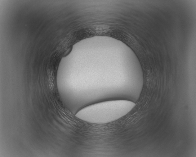 X0000054370866200507290828