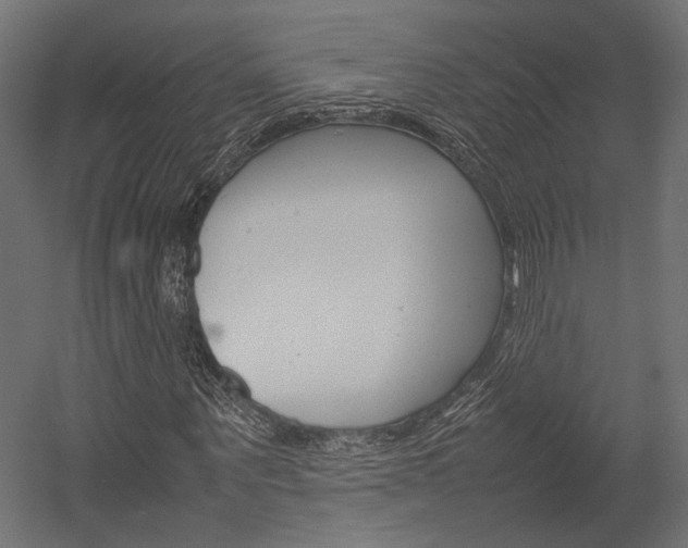 X0000054370867200507290828