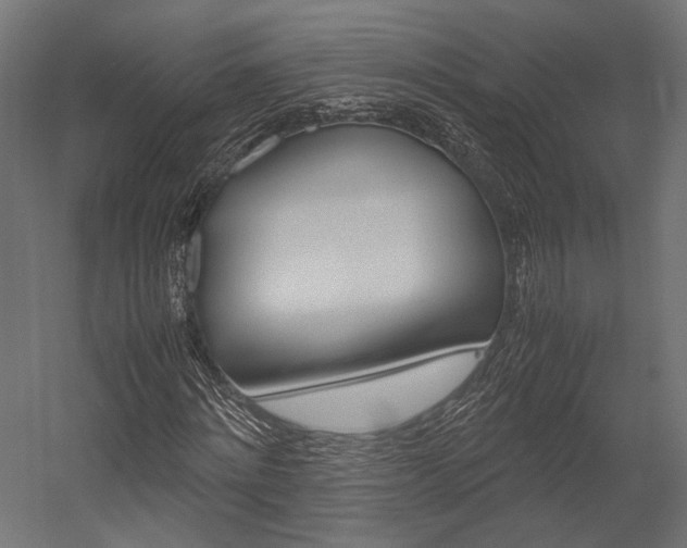 X0000054370868200507290828