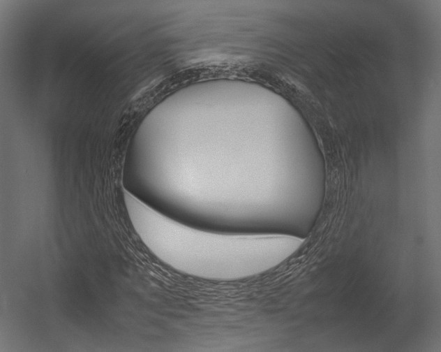 X0000054370869200507290828