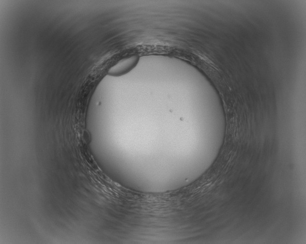 X0000054370870200507290828
