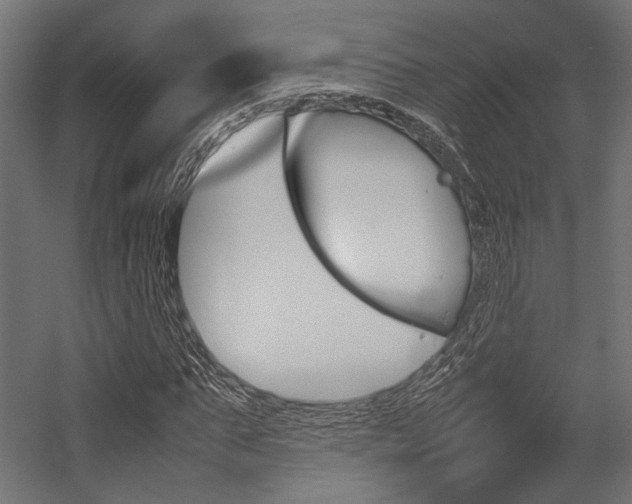 X0000054370871200507290828