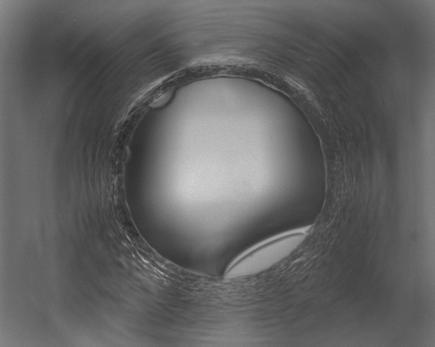 X0000054370872200507290828