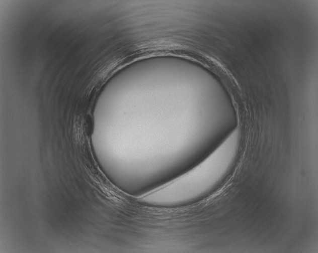 X0000054370873200507290828