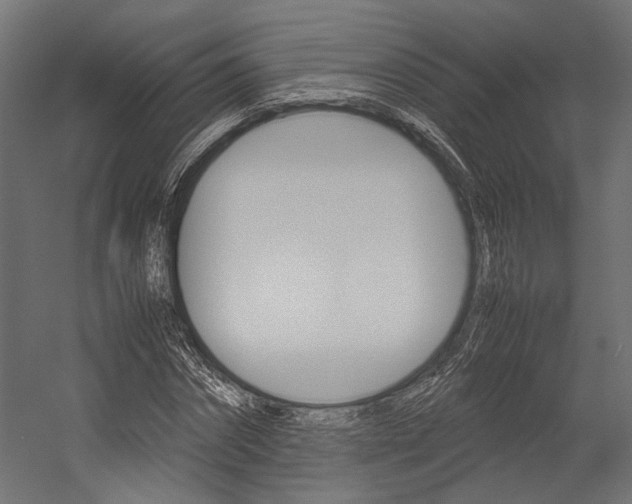 X0000054370874200507290828