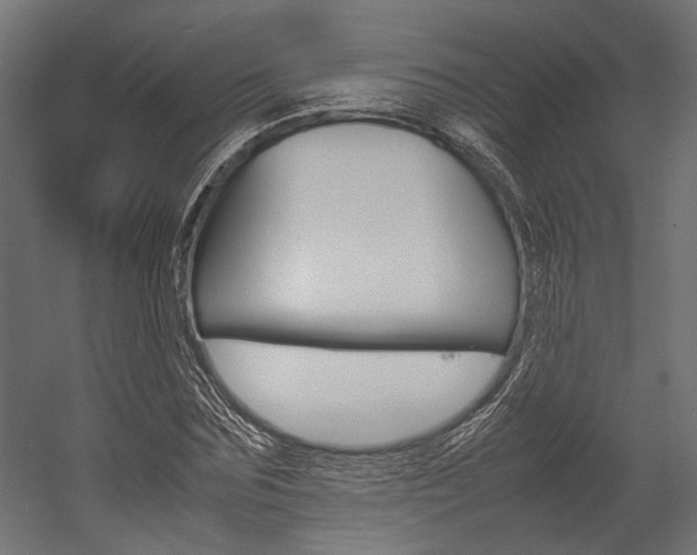 X0000054370875200507290828