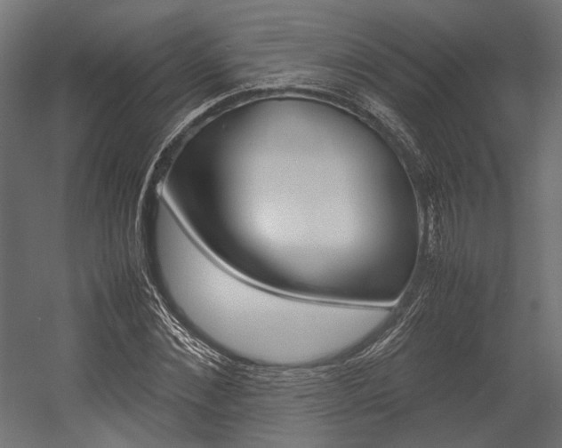 X0000054370876200507290828