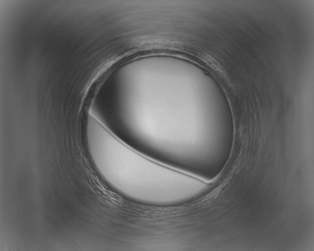 X0000054370877200507290828
