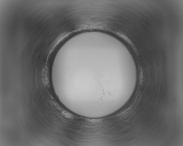 X0000054370878200507290828