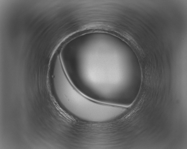 X0000054370880200507290828
