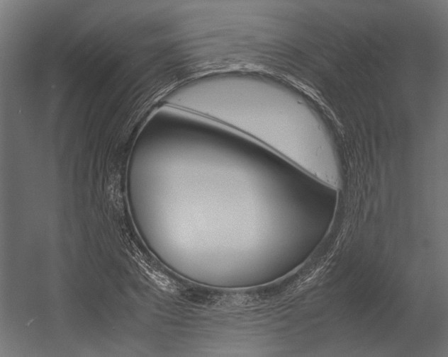 X0000054370881200507290828