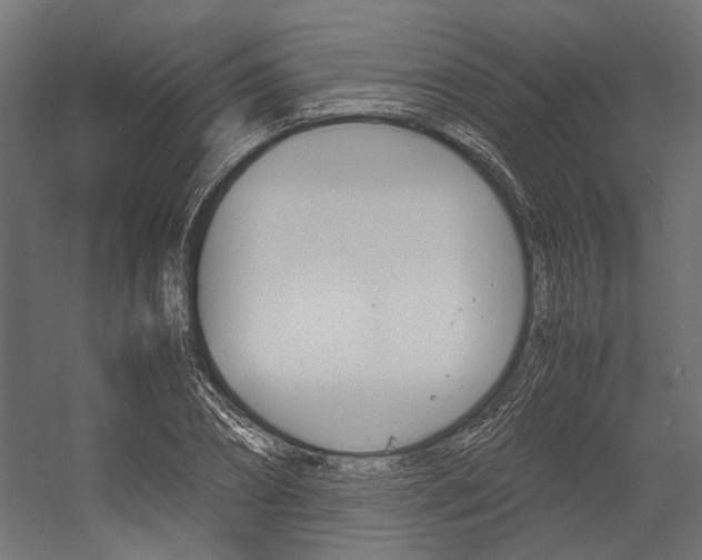 X0000054370882200507290828