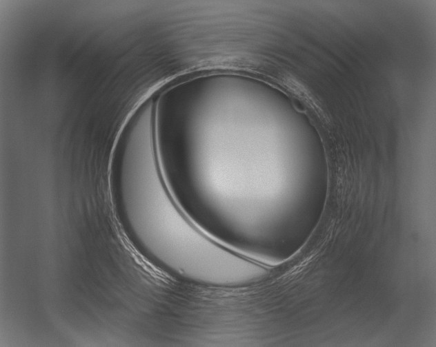 X0000054370884200507290828