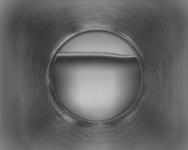 X0000054370885200507290828