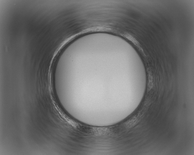 X0000054370886200507290828