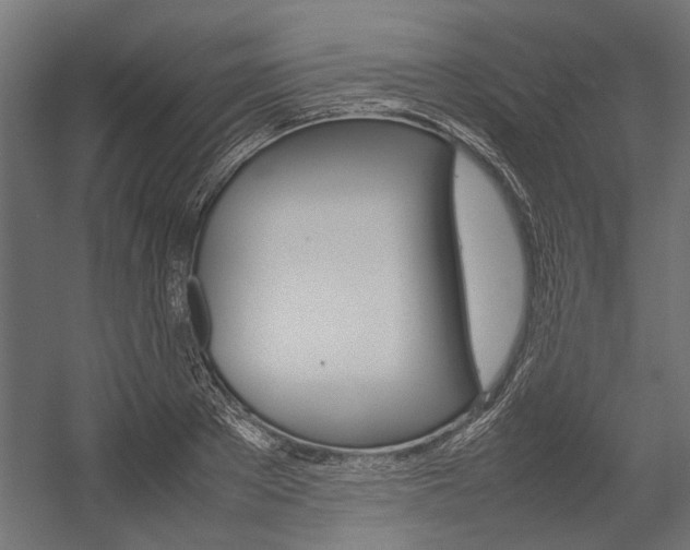 X0000054370889200507290828