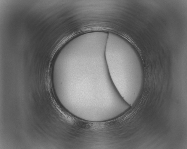 X0000054370890200507290828