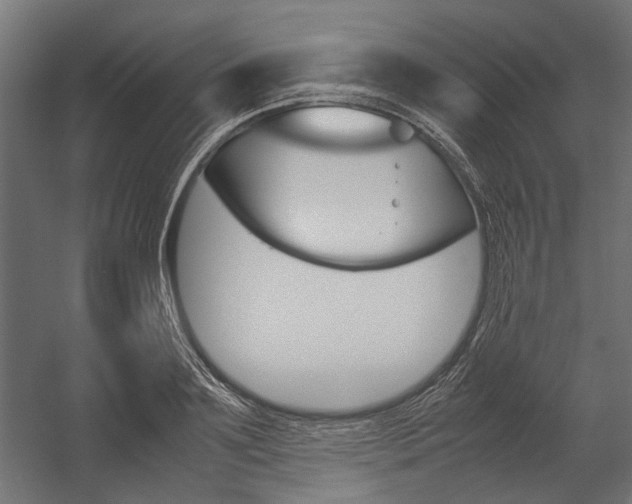 X0000054370891200507290828