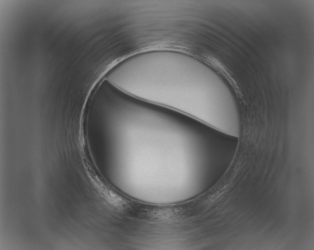 X0000054370892200507290828