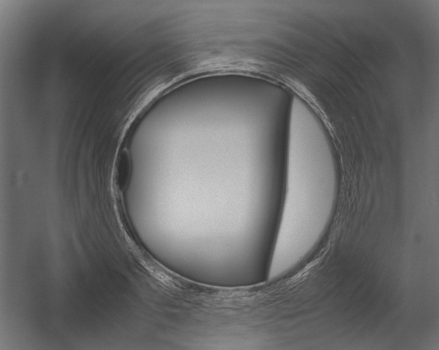 X0000054370893200507290828