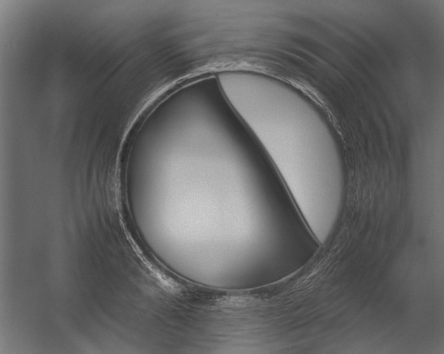 X0000054370894200507290828