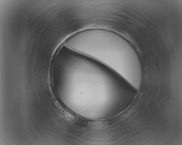 X0000054370896200507290828