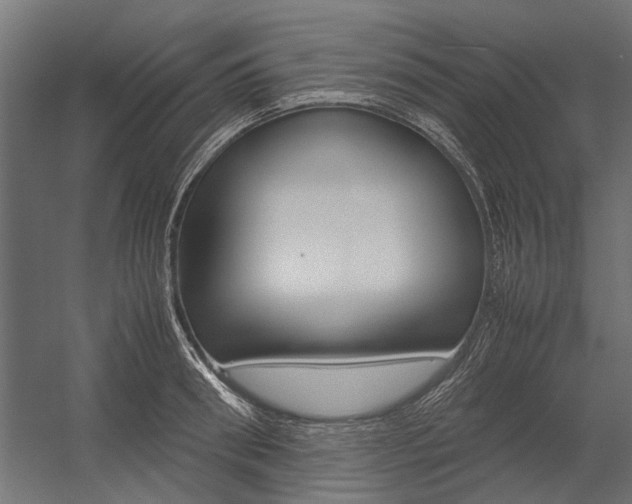 X0000054370898200507290828