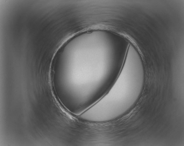X0000054370902200507290828