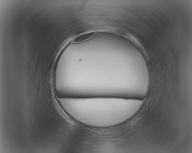 X0000054370907200507290828