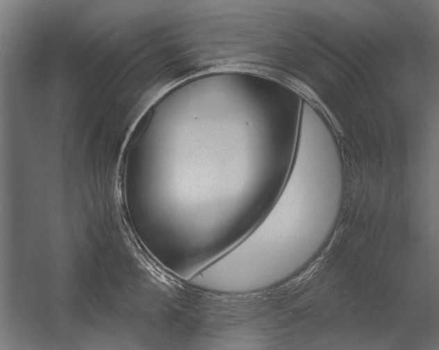 X0000054370908200507290827