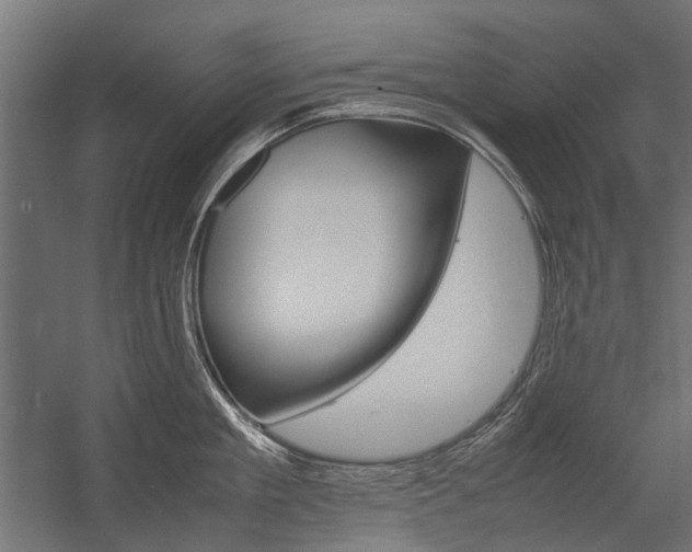 X0000054370909200507290827
