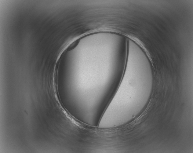 X0000054370910200507290827