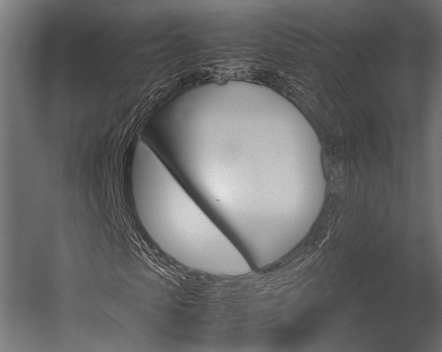 X0000054370913200507290827