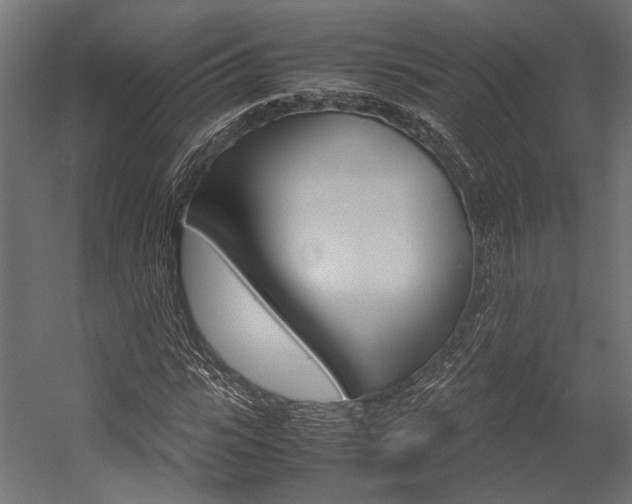 X0000054370919200507290827