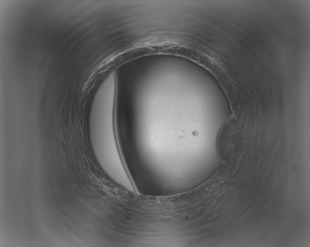 X0000054370920200507290827