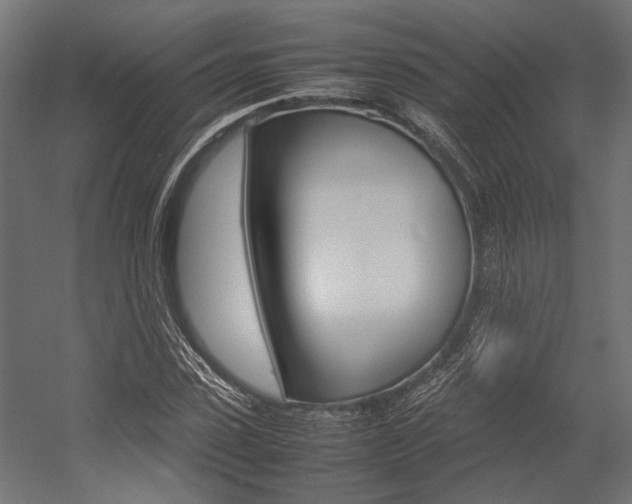 X0000054370923200507290827