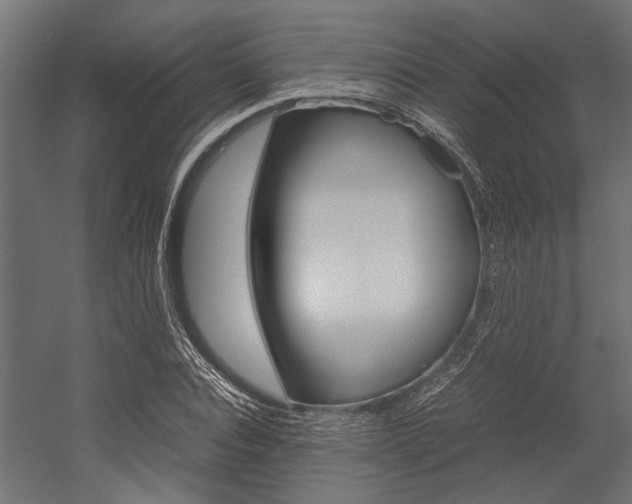 X0000054370928200507290827