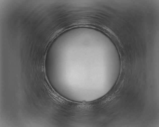 X0000054370929200507290827