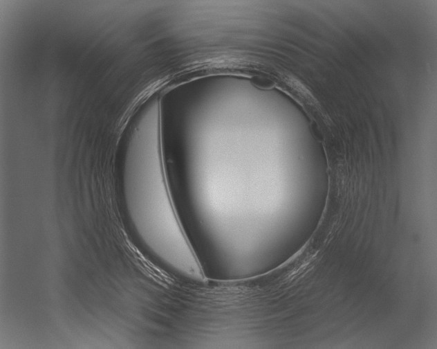 X0000054370930200507290827