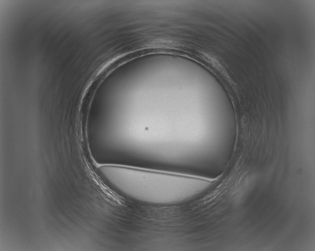 X0000054370931200507290827