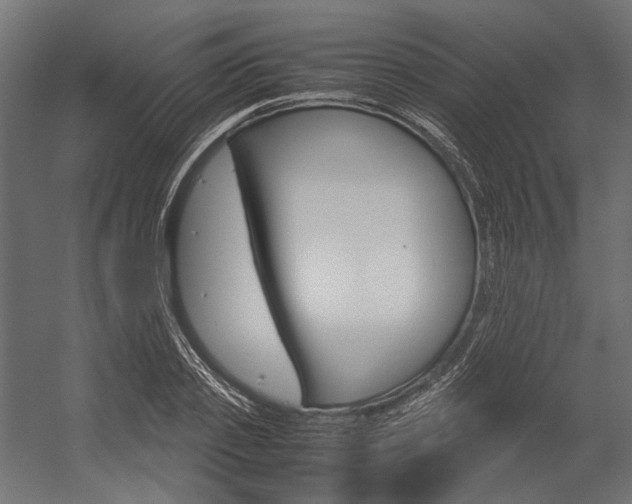 X0000054370933200507290827