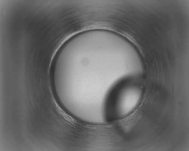 X0000054370934200507290827